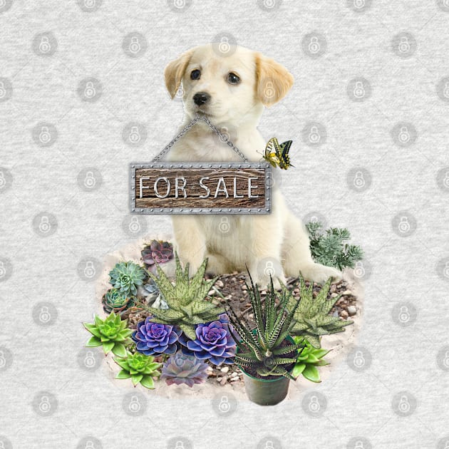 Puppy for sale by Just Kidding by Nadine May